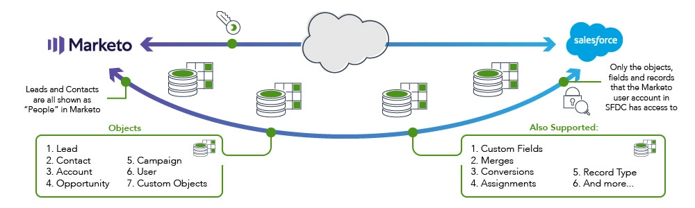 Marketo and salesforce integration process
