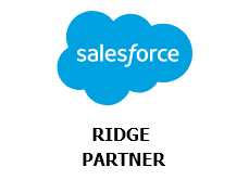 Salesforce logo ridge partner with white background